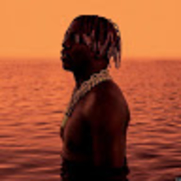 Meet your Posher, Dom - Picture 1 of 1